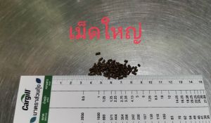 อาหารกุ้ง (คาร์กิล)​  5kg  โปรตีนสูง​  อาหารเม็ดจม โปรตีนสูง น้ำไม่เสียเร็ว  จัดส่งรวดเร็ว