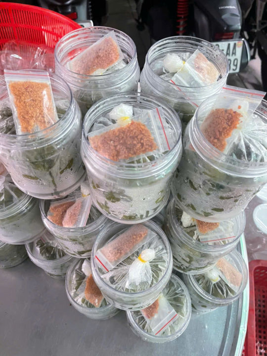 C%C3%A0%20na%20th%C3%A1i%20%C4%91%E1%BA%ADp%20d%E1%BA%ADp%20x%E1%BB%91c%20mu%E1%BB%91i%20%E1%BB%9Bt%20-%20B%E1%BB%8ACH%20500G%20-%20Image%206