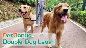 PetBonus Double Dog Leash No Tangle Dual Leash Reflective Walking Training Lead 4 Comfortable Padded Handles for 2 Dogs with Collapsible Bowl and Waste Bags (Black Large)