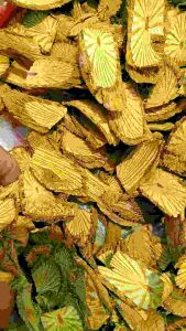 Akar bajakah kuning kalimantan asli herbal yang mendapatkan nominasi juara 1 di korea Selatan