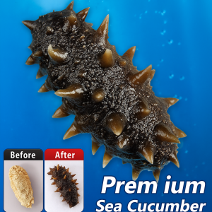 Premium Dried Sea Cucumber For Immune Support And Skin Health