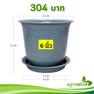 กระถาง กระถางต้นไม้ มินิมอล ถ้วยจีน+จาน ขนาด 6 นิ้ว สีเทา 10 ใบ ชิ้น อัน