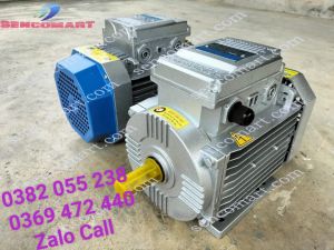 Motor điện 220v 3kw Toàn Phát vòng tua 2900v/p dây đồng Hàn Quốc