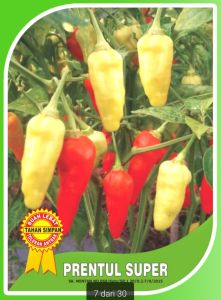 Benih Bibit Cabe Rawit Setan PRENTUL SUPER 10g  setara 2250 butir Cap You seed