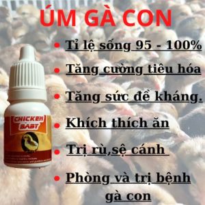 Úm gà con mới nở siêu đỉnh CHICKEN BABY lọ 10ml - tỷ lệ sống trên 95%