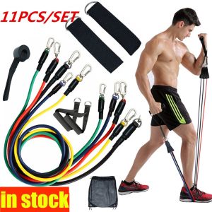 11 IN 1 SET TALI PEMBANTU FITNESS GYM POWER RESISTANCE BANDS | TALI ELASTIS YOGA 11 SET | TALI STRETCHING | ALAT OLAH RAGA ELASTIC BAND FITNESS GYM TALI KARET PILATES STRETCH ROPE | STRAP PEREGANGAN - Lazada