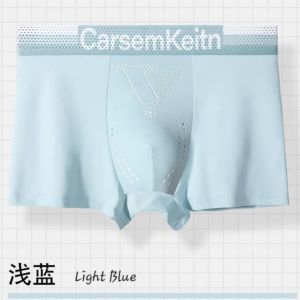 DYFUU Mens Underwear - Ice Silk Mesh - Boxer & Briefs CT5320