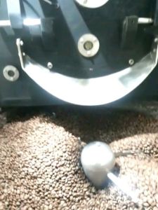 Kopi Arabika Lintong 200gr: Manfaat & Cara Menggunakannya