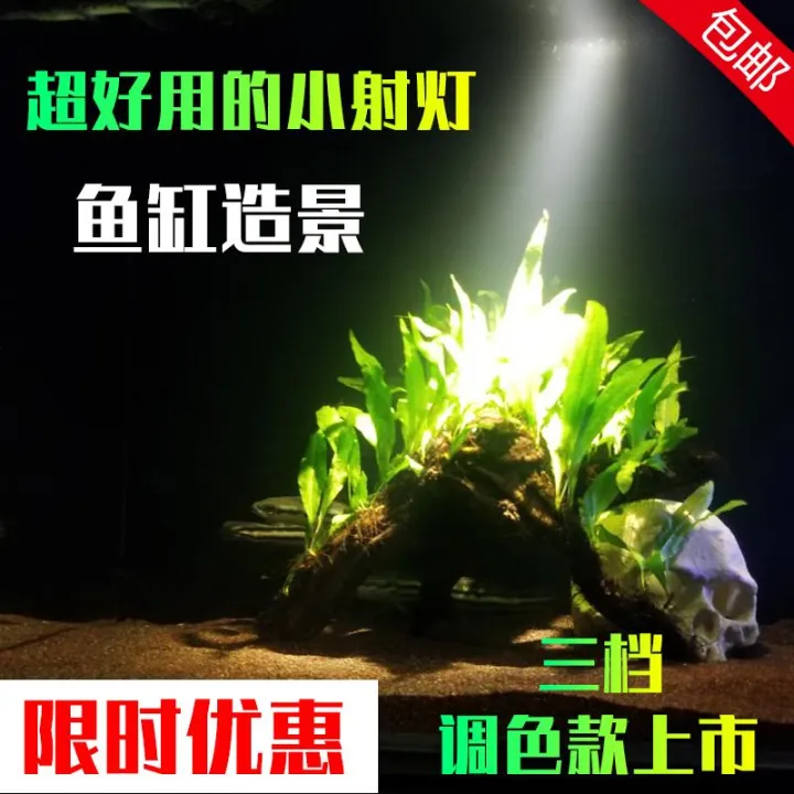 %C4%90%C3%88N%20LED%20SI%C3%8AU%20R%E1%BB%8CI%203W%203%20CH%E1%BA%BE%20%C4%90%E1%BB%98%20M%C3%80U%20-%20%C4%90%C3%88N%20R%E1%BB%8CI%20BIOTOP%20-%20%C4%91%C3%A8n%20r%E1%BB%8Di%20b%E1%BB%83%20c%C3%A1%20-%20biotop%20-%20h%E1%BB%93%20th%E1%BB%A7y%20sinh%20-%20ph%E1%BB%A5%20ki%E1%BB%87n%20c%C3%A1%20c%E1%BA%A3nh%20-%20shopleo%20-%20Image%202