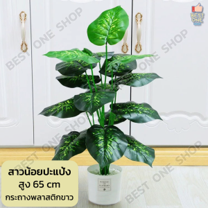 A239 ต้นไม้มงคล ต้นไม้ปลอมเหมือนจริง เสริมฮวงจุ้ย โชคลาภ แถมฟรีกระถางสีขาว+หินขาว ต้นไม้ตกแต่งบ้าน ต้นไม้ประดิษฐ์ ต้นไม้ปลอม