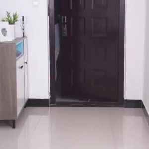 【Ship in 24H】Free ShippingDoor Mat Floor Mat PVC Welcome Mat Entrance Carpet Thick Anti Slip Coil Mat Outdoor Dust Removal Absorbent Mat Feng Shui Mat For Home Offce Hotel Entrance