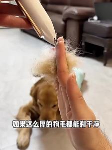 2026 Hot Sale [ Shipped from China ]LEDHair Trimmer for Dogs and Cats Foot Hair Trimmer Electric Clipper for Trimming Dog Hair B3