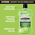 [Paket isi 2] LISTERINE NATURAL GREEN TEA Obat Kumur 500ml. 