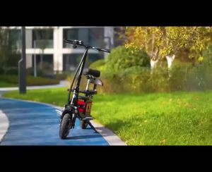 500W 48V Electric Bicycle Max 40km/h 45km Range Front & Rear Dual Shock E-ABS Dual Disc ke Removable Battery USB Port Anti-theft Lock 250kg Load 2 Seater City Commuter E-Bike