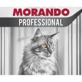 Morando Cat Can Food Chunks 405G & Pate 400G Makanan Kucing Basah Salmon Tuna Chicken MyVetMart. 