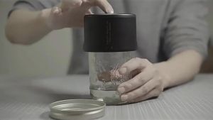 Mason jar Vacuum Sealer Electric Mason Jar Vacuum Sealer Kit for Wide Mouth & Regular Mouth Mason Jarsfor Food Storage and Fermentation (Black)