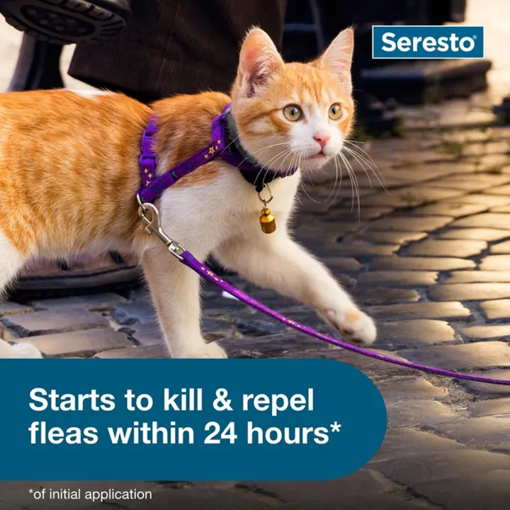 Seresto%20Elanco%20Repellent%20collar%20for%20Cat%20Small%20Dog%20Antiparasitic%20Adjustable%20Puppy%20Kitten%20Collar%20Breakaway%20Pet%20Accessories%20-%20Image%207