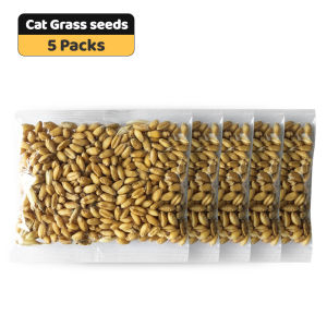 Pet Cat Grass Planting Pot Grow Box Catnip Grass Kit Without Soil Cat Grass Hydroponic with Tray
