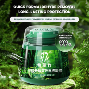 Japan Formaldehyde Remover Jelly Gel Household Formaldehyde Remover Absorbent Cleaning Agent 日本甲醛清清除剂