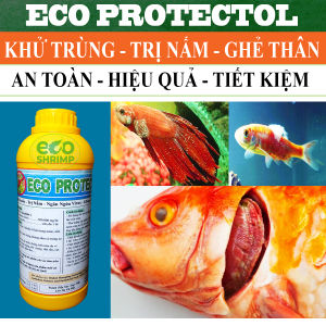 Chai 1L Protectol Trị Nấm Trắng - Nấm Thủy Mi Cho Cá Cảnh