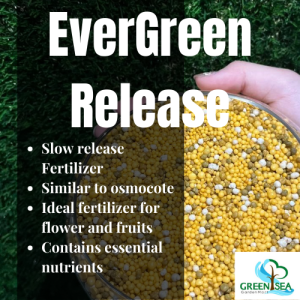 G4U - 1KG EverGreen Flower Slow Release Fertilizer OEM Baja Perlepasan Perlahan 控释肥