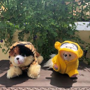 Baju Anjing Kucing Lucu Tiger Hoodie Singa Macan Kostum