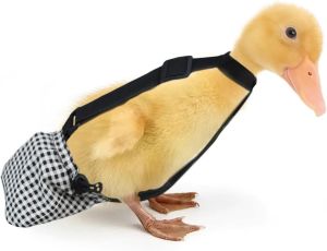 Duckling Diapers with Elastic Rope for Baby DuckDuck 1 to 2 lbs 3 Weeks to 4 Weeks of Age