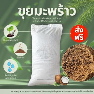 (ส่งฟรี)ขุยมะพร้าวละเอียด 1​ กระสอบ(7-10kg.) ขุยใต้แท้100% ขุยกะทิ ละเอียด ใยน้อย ใช้เวลาจัดส่ง 5-7 วัน