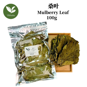 桑叶 100g Mulberry leaf Daun mulberi 齐桑叶