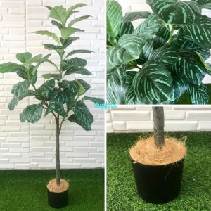 Pohon Artificial Tanaman Hias Daun Karet Merah Muda / Hijau Tua X3 T140 Latex Cover Pot Purun Belly Dekorasi Ruang Tamu