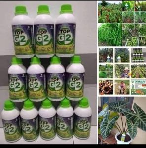 Pupuk 24 Botol: Kualitas Tinggi & Solusi Pertanian