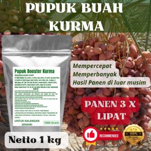 Pupuk Booster Kurma Pelebat Organik Cepat Berbuah Lebat Besar Anti Rontok Pembesar Kurma