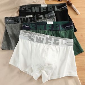 Thời trang Đồ lót nam thể thao cotton đồ lót thoáng khí thoải mái Võ Sĩ