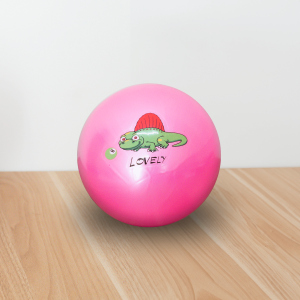 Mainan Bola Karet Anak Bola Basket Bola Sepak Karet