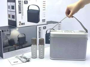 YS 219 Wireless Bluetooth Karaoke Speaker with Built-in Mic and 100W High-Power Audio for Home TV/Family Parties