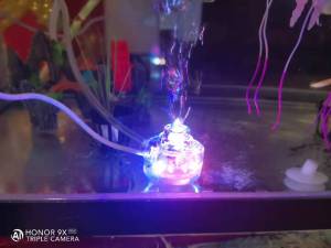 Mini Aquarium LED Oxygen Bubble Light: Goldfish Tank Lighting Decoration & Oxygen Light