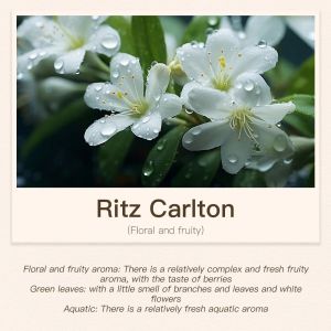 Hotel Room Fragrance Diffuser for Home Air Freshener Scenting Device Air Purifier Humidifier Car Essential Oil Refil 100ML 500ML2026