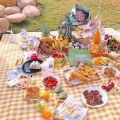 Thảm picnic, thảm trải dã ngoại chống thấm nước, thảm decor trang trí chụp ảnh gấp gọn. 
