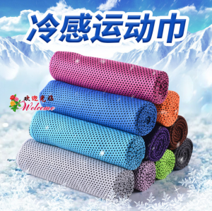 WE 2446 = 冷感运动毛巾 Cooling Sports Towel (Random Color)