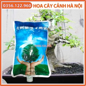 Dịch truyền dinh dưỡng cho cây túi vàng cam thể tích 1 lít