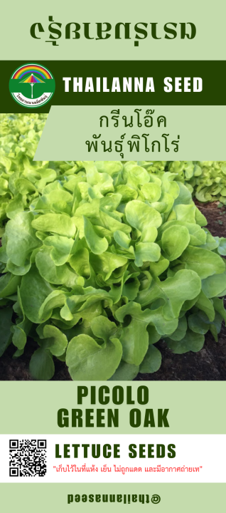 เมล็ดพันธุ์กรีนโอ๊ค พันธุ์พิโกโร่ Thailannaseed