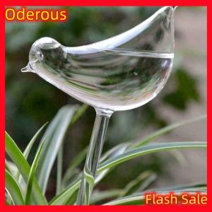 Oderous Plant Waterer Self Watering Globes Bird Shape Hand Blown Clear Aqua Bulbs