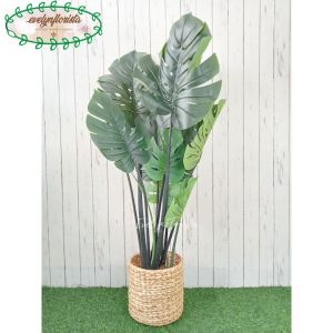 Pohon Hias Imitasi Monstera T120 Latex Cover Eceng Gondok Hiasan Studio Aesthetic