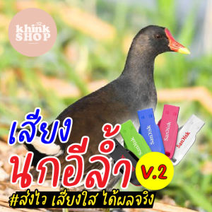 เสียงต่อนกอีล้ำ V2 เมมเสียงนกอีล้ำ V2 แฟลชไดร์ฟเสียงต่อนกอีล้ำ V2 เก็บเงิน ปลายทาง