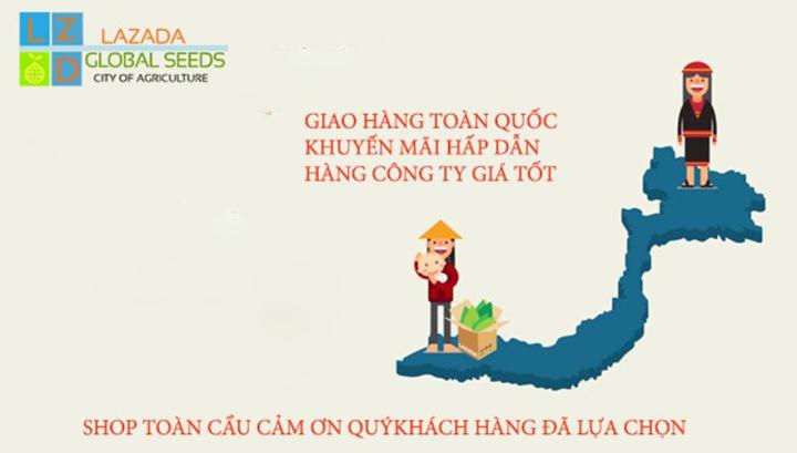 %5BHCM%5DC%E1%BA%A2I%20B%E1%BA%B8%20TR%E1%BA%AENG%20L%C3%81%20V%C3%80NG%20PH%C3%9A%20N%C3%94NG%20PN-01%20G%C3%93I%2010GRAM%20CH%E1%BA%A4T%20L%C6%AF%E1%BB%A2NG%20CAO%20.%20-%20Image%205