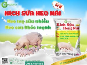 KÍCH SỮA HEO NÁI Goovet 1Kg Thức ăn bổ sung cho nái có chửa trước sinh và sau sinh Lợn Trâu Bò Dê.... Động vật