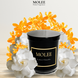 🇸🇬 [SG Seller  & Local Stock ] Crystal design Candle Warmer  [MCW005]