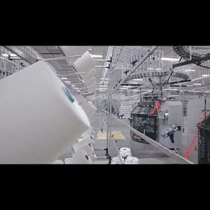 100%纯棉百搭短袖t恤男2025新款夏季潮牌小众高街美式宽松上衣ins