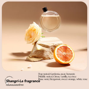 【Fuhua Mobile】พร้อมส่ง！เครื่องพ่นน้ําหอม เครื่องอโรมาเทอราพี เครื่องพ่นไอน้ํา เครื่องฟอกอากาศ ไร้สายติดผนังสําหรับบ้าน ห้องน้ําOffice