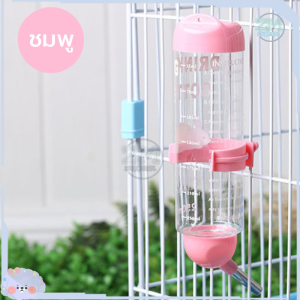 ขวดน้ำแฮมเตอร์ 250ml ขวดน้ำหนู ขวดน้ําสัตว์ ขวดน้ำชูก้า ขวดน้ำกระต่าย ขวดน้ำสุนัข แบบติดกรง ที่ให้น้ำอัตโนมัติ ที่ให้น้ำกระต่าย หมา แมว